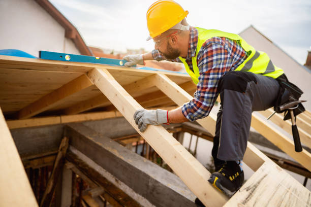 Best Roof Maintenance Services  in Lake St Louis, MO